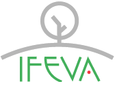 Logo de Ifeva, y Home link